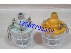 供应优质隔爆型防爆灯BAD51 白炽灯200W图1