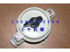 大量供应BZM-10防爆照明开关 ExedIIBT6 10A图1