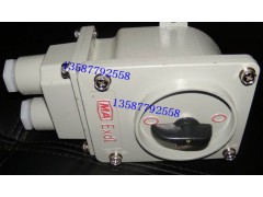 供应60A 380V防爆转换开关 型号BZZ51 铝合金材质图1