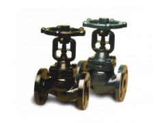 阿姆斯壮BD-16波纹管截止阀图1