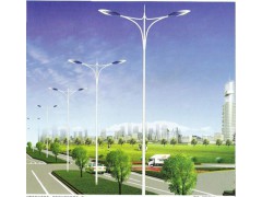 四川路灯厂《成都路灯厂》总经销图1