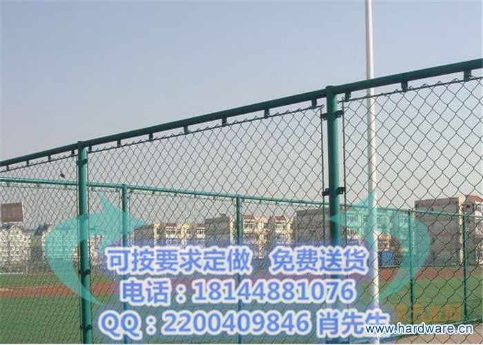 球场护栏网 (2)
