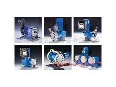 SEYBERT&RAHIER泵图1