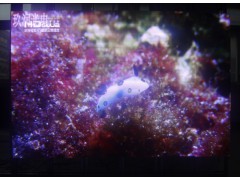 亮度智能调节室内全彩表贴P4显示屏图1