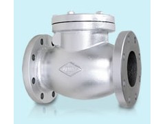 台湾广腾旋启式止回阀图1