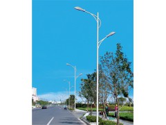 {成都路灯厂} 网站+成都路灯厂家图1