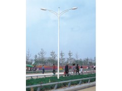 四川路灯厂{灯杆}厂家报价图1