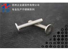 非标定制螺丝-不锈钢304扁平头螺丝 无槽图1