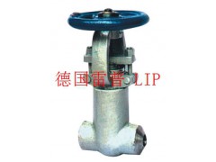 进口高温高压闸阀（进口高温焊接闸阀）品牌图1