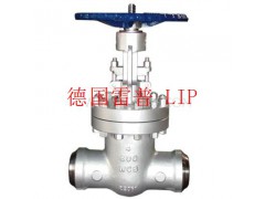 进口耐高温闸阀--进口1000°C高温310S闸阀图1