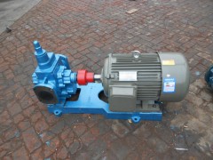 KCG(2CG)齿轮式高温油泵图1