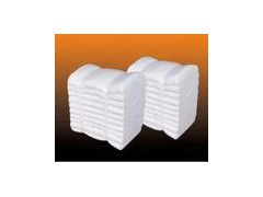 供应自由活动式隧道窑保温耐火陶瓷纤维模块图1