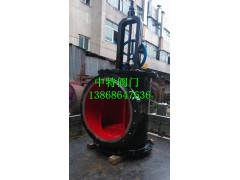 配水闸阀（闸门）图1