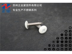 304不锈钢  十字方孔扁头螺丝图1