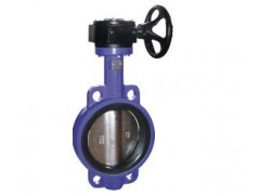 D371X湖南蜗轮蜗杆蝶阀、广东蜗轮蜗杆蝶阀、上海双高蝶阀图1