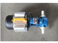 WCB型手提式微型齿轮泵图1