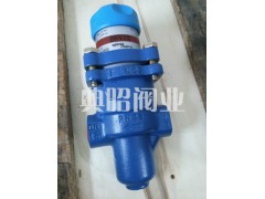 BRV2S英国斯派莎克蒸汽减压阀图1