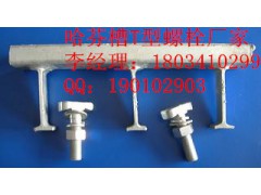 哈芬槽T型螺栓，玻璃幕墙T型螺栓厂家图1