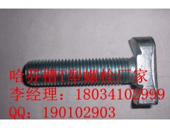 玻璃幕墙T型螺栓M16*60|玻璃幕墙T型螺栓厂家图1