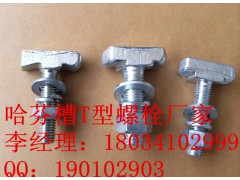 哈芬槽T型螺栓生产厂家图1