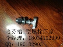 玻璃幕墙T型螺栓M16*60|玻璃幕墙T型螺栓厂家图1