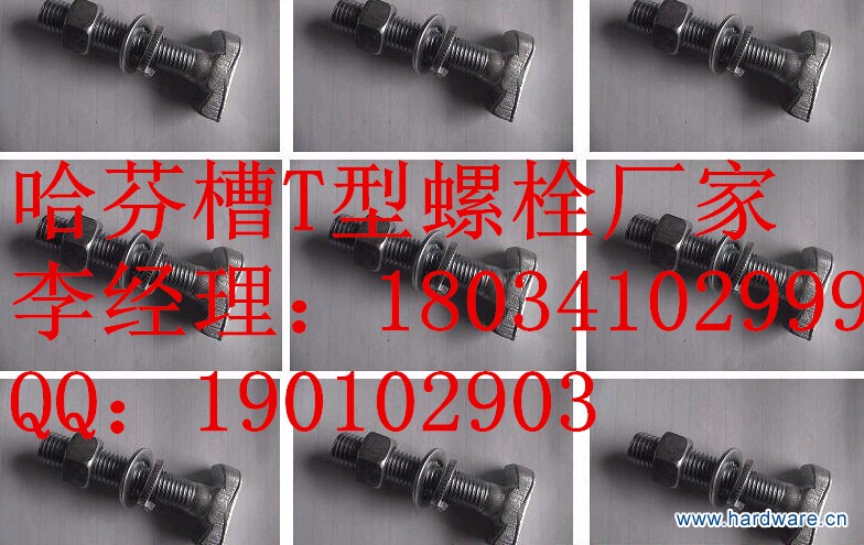 QQ图片20141119131758_副本