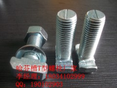 玻璃幕墙T型螺栓，哈芬槽T型螺栓生产厂家图1