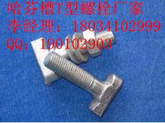 厂家大量供应哈芬槽螺栓，螺母，玻璃幕墙专用T型螺栓图1