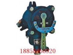 BAX-5127L矿用隔爆型信号开关拉点器价格图1