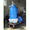 蓝深WQ300-36-55型污水泵（自耦式安装）