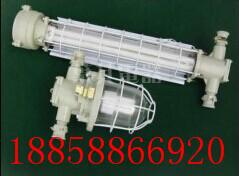 DGS13(18、24).127Y矿用隔爆型荧光灯