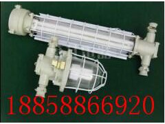 DGS70/127L矿用隔爆型LED巷道灯图1