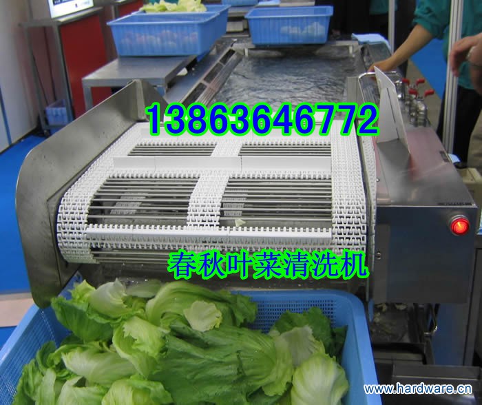 春秋叶菜气泡清洗机