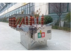 ZW8-12户外高压真空断路器成都干式户外真空断路器图1