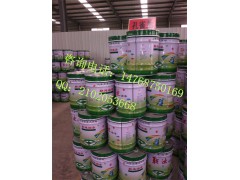 泉州醇酸磁漆专业生产厂家 诚招2015代理商图1