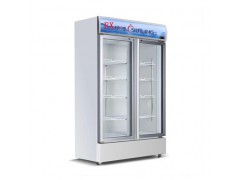 广东双门工业防爆展示柜BL-900图1