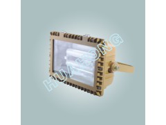 防爆泛光灯 新疆防爆泛光灯图1