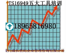厦门漳州龙岩莆田南平三明宁德TS16949五大工具培训图1
