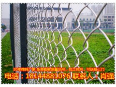 揭阳体育场勾花网定做/天河球场围网低价促销【SX厂家】图1