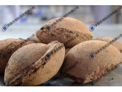 除尘灰冷压球团粘合剂—唐山市滦县永恒粘合剂图1