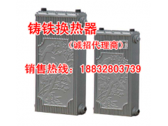 铸铁换热器暖气过水热生产厂家图1