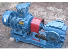 LCB沥青齿轮输送泵图1