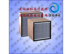 常州有隔板高效过滤器(湖州铝隔板空气过滤器)图1