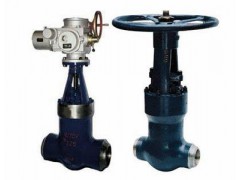 Z61Y-P54100V电站对焊闸阀图1