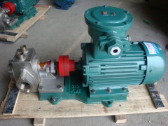 BW齿轮式不锈钢保温泵图1