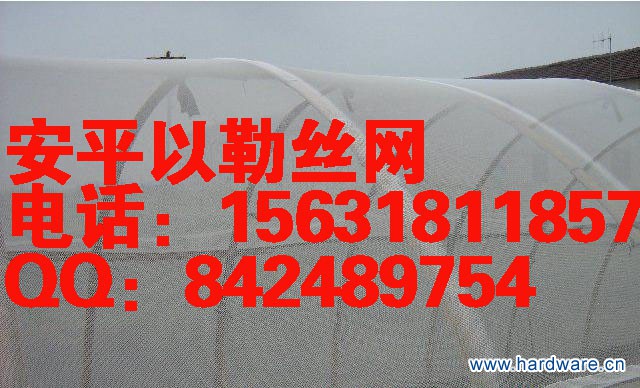 防虫网 (17).