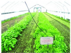 温室大棚薄膜升降控制系统图1