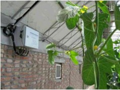 蔬菜大棚自动化控制系统滴灌控制系统图1