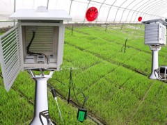 温室大棚二氧化碳监控系统 温室大棚空气监控图1