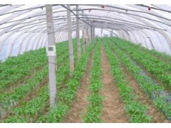 蔬菜大棚自动化控制系统室内灯光控制系统图1